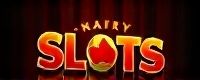 slots ace